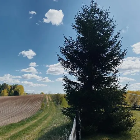 Гостевой дом Babie Lato Мронгово