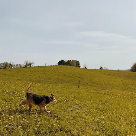 Гостевой дом Babie Lato