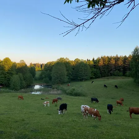 Babie Lato 3* Mrągowo